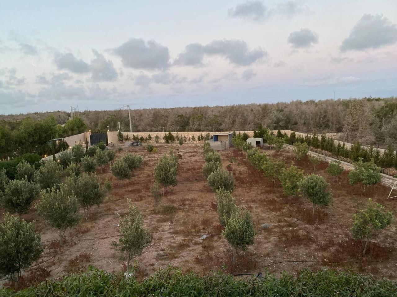 Villa Laarich الصويرة المظهر الخارجي الصورة